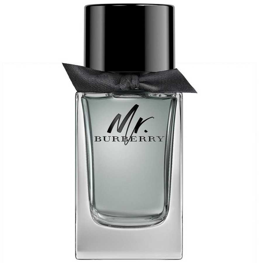 Burberry Mr. Burberry For Men Edt 100 ml Spray 